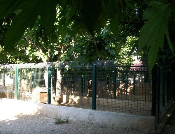 Pension chien PACA